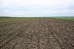 Agrotechnická opatření pro řešení problémů sucha